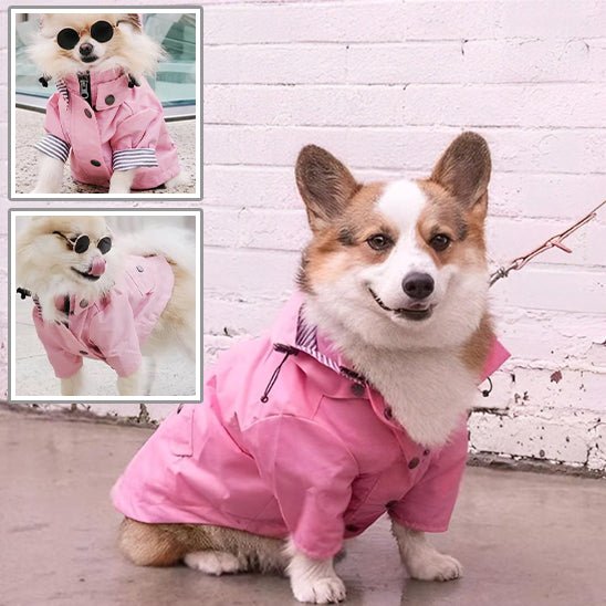 Imperméable pour chien - ImperToutou™