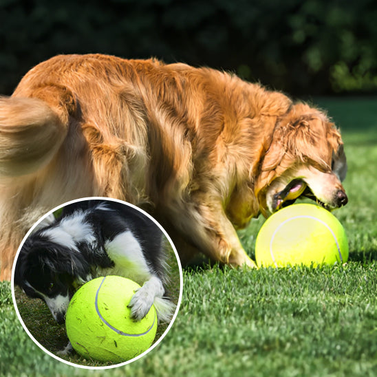 GiantBall™ : La balle pour chien