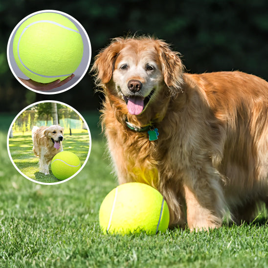 GiantBall™ : La balle pour chien