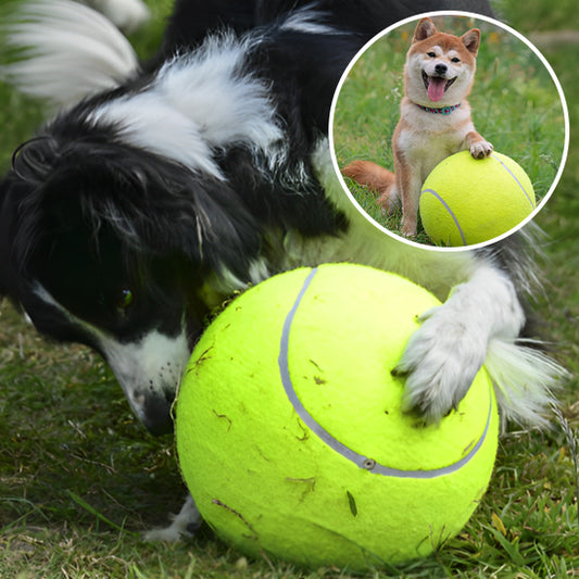 GiantBall™ : La balle pour chien