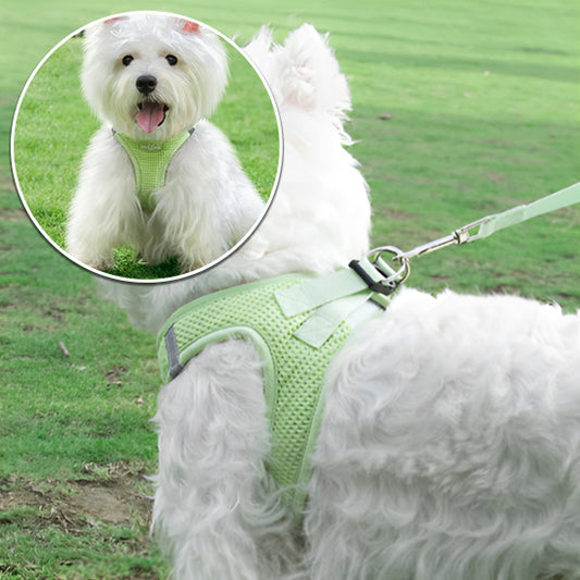 Harnais anti traction chien - BonWalk™