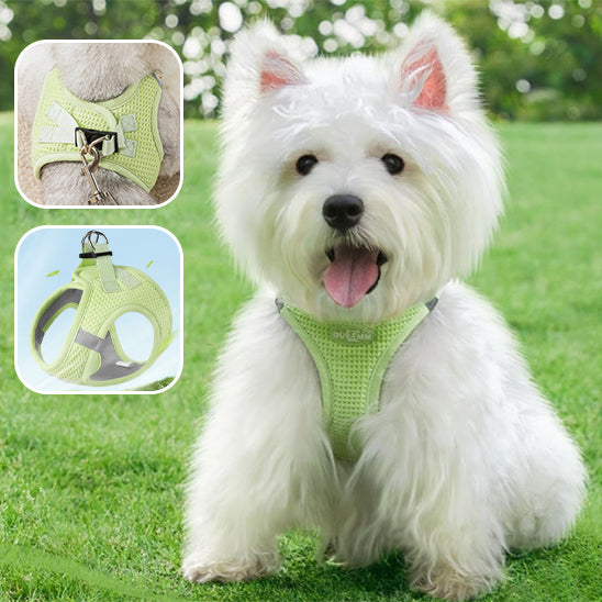 Harnais anti traction chien - BonWalk™