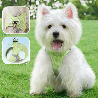 Harnais anti traction chien - BonWalk™