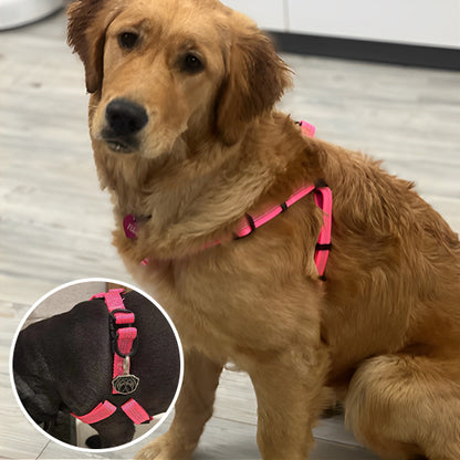 Harnais Anti Traction Chien - PawPower™