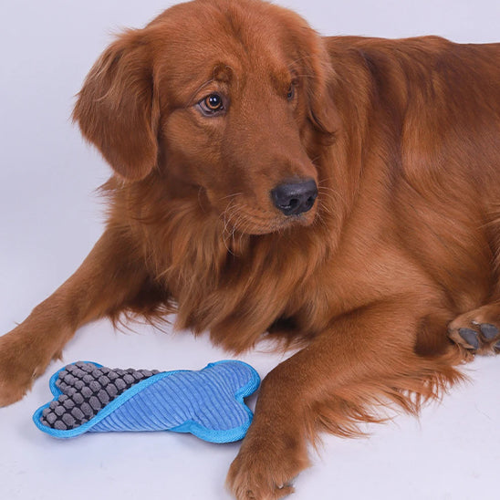 BonePeluche™ : Le jouet pour chien