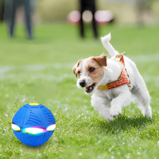 La balle pour chien - BounceBall™