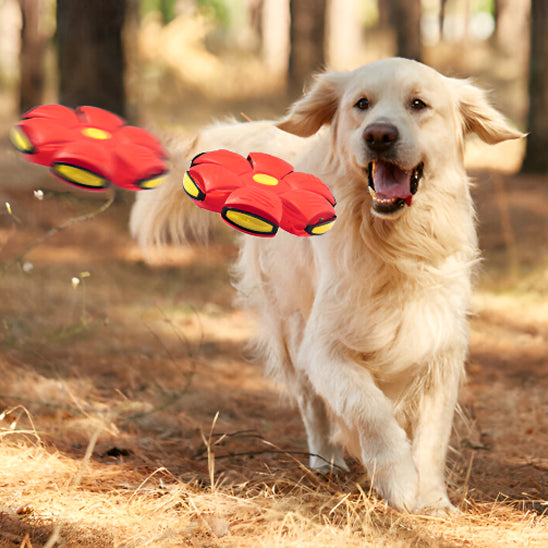 La balle pour chien - BounceBall™