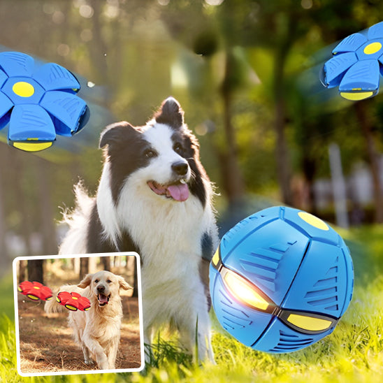 La balle pour chien - BounceBall™