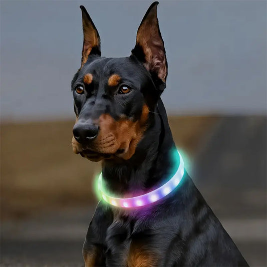Collier lumineux pour chien - FlashColl™