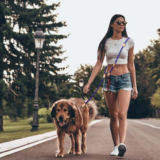 La double laisse pour chien