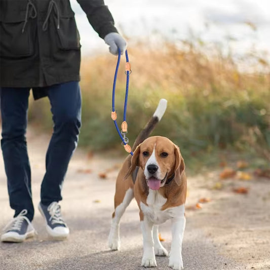 La double laisse pour chien