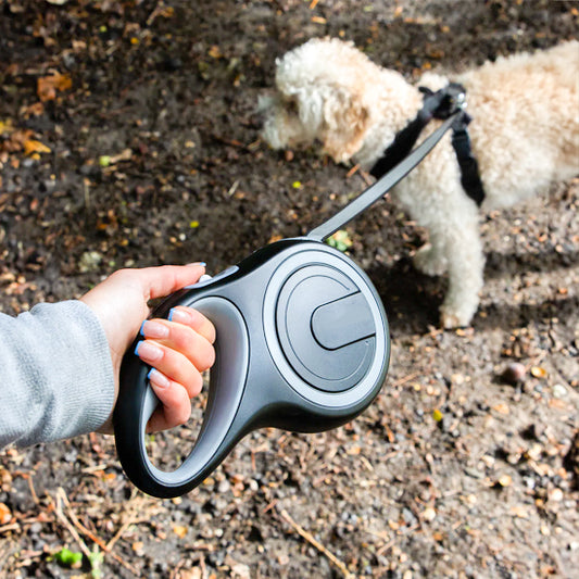 Laisses pour chiens - L'enrouleur™