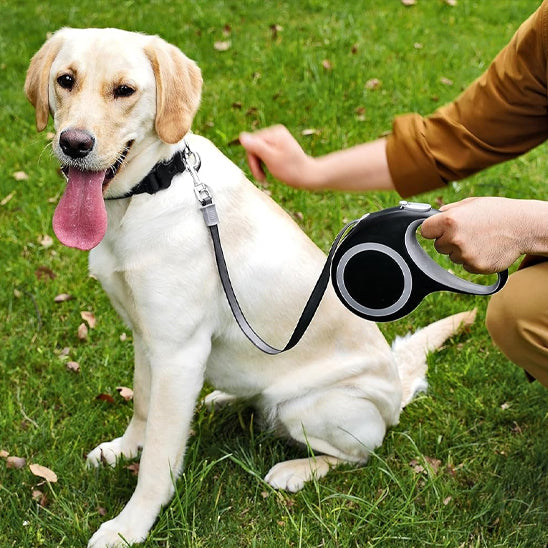 Laisses pour chiens - L'enrouleur™