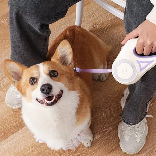 LaisseZen™: les laisse pour chiens