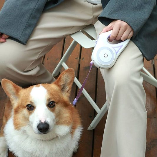 LaisseZen™: les laisse pour chiens