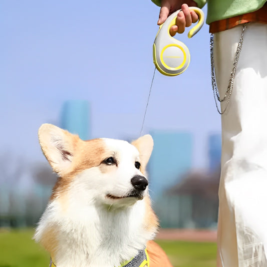 Laisses pour chien - DogRetrac™