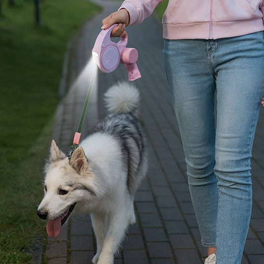 Les laisses pour chiens - FlashLight™