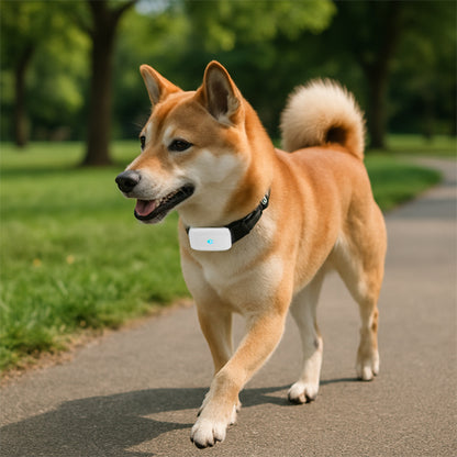 Collier GPS pour chien – Wouf'Track™