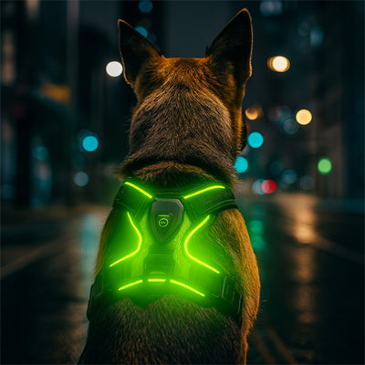 Harnais lumineux | WOUF’LIGHT™